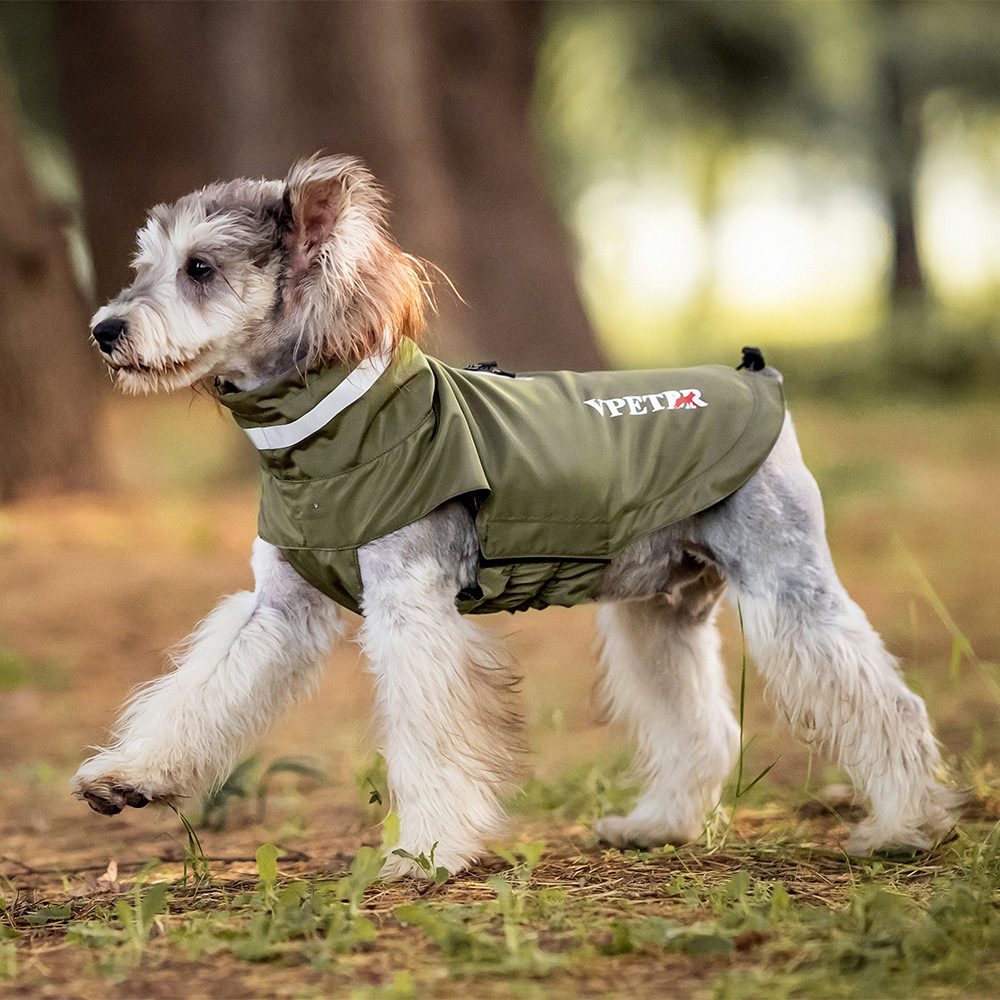 Imperméable réfléchissant — Tissu déperlant, capuche et bandes réfléchissantes : le chien rentre sec et reste visible 