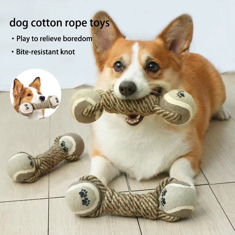 Jouet interactif résistant — Pour les chiens qui détruisent tout