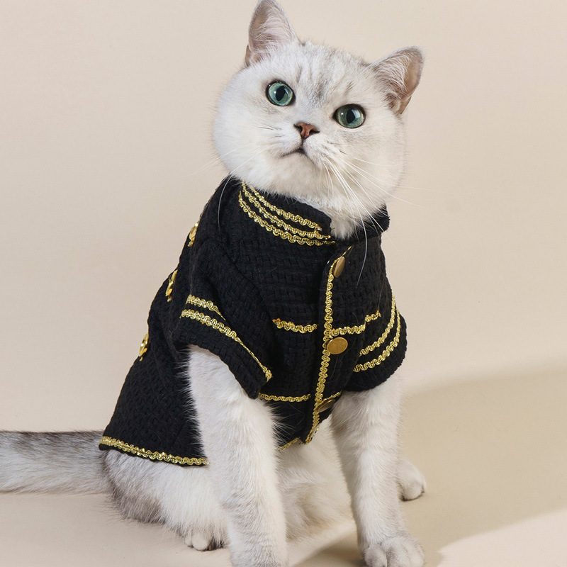 Manteau tendance — Coupe droite, doublure douce et fermeture simple : le chien est couvert sans avoir l’air d