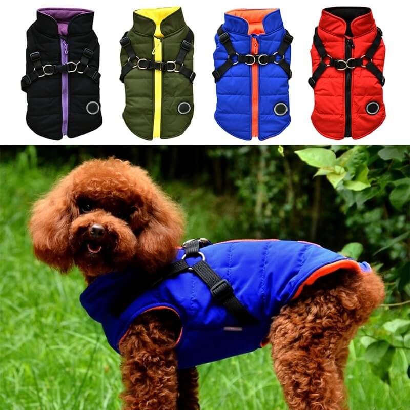 Veste zippée